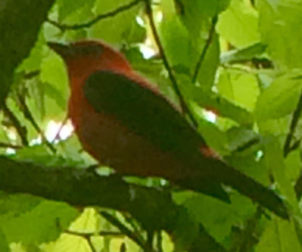 Exchange Place-金斯波特必去景点