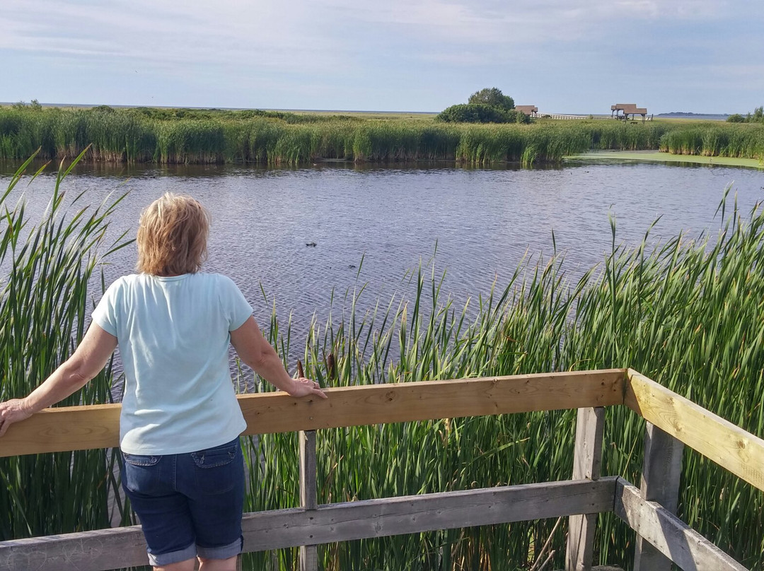 Rushtons Beach Provincial Park-Marshville必去景点