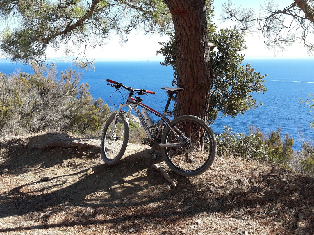 Capoliveri Bike Park景点图片