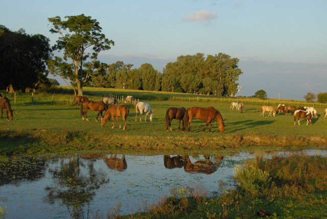 Estancia Los Dos Hermanos