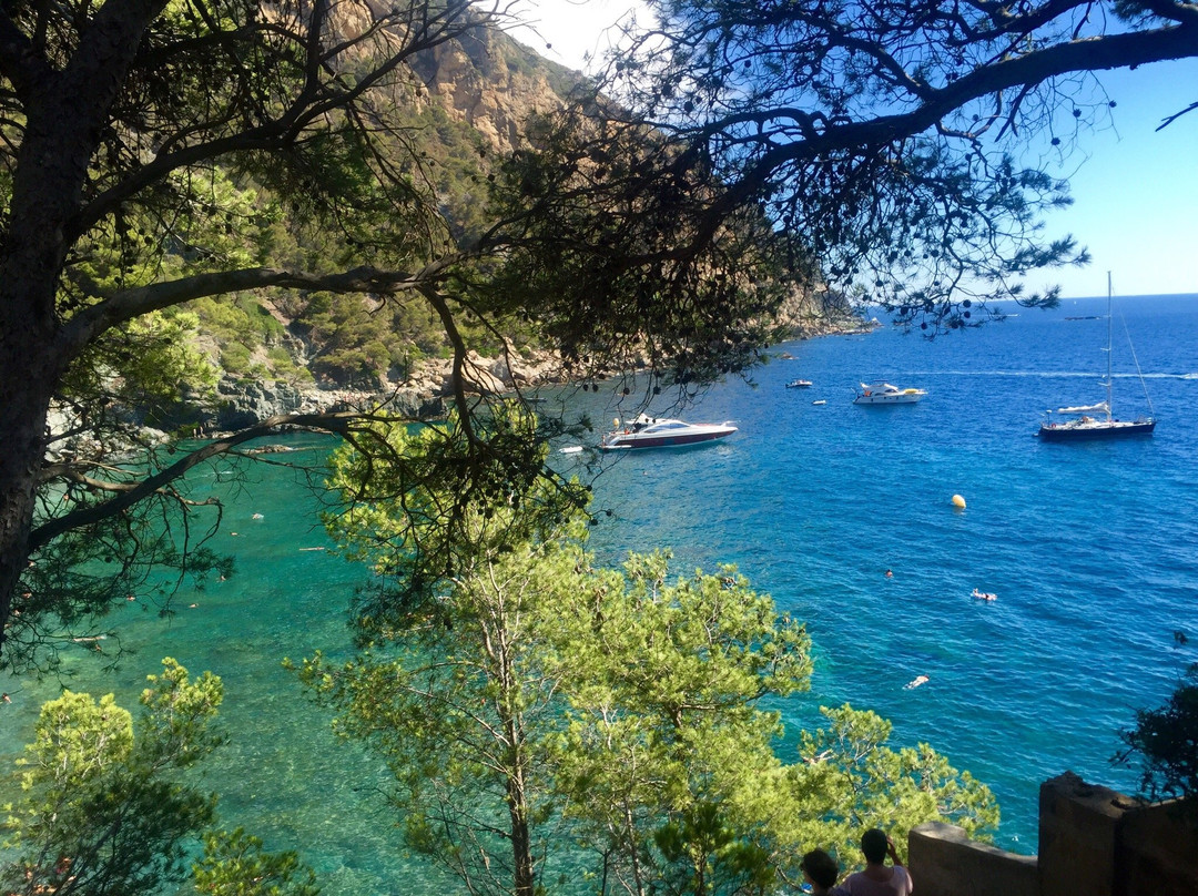 La Masia de Tamariu主图