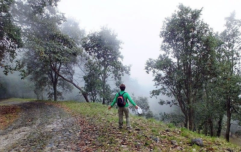 Tequila Volcano-特基拉必去景点