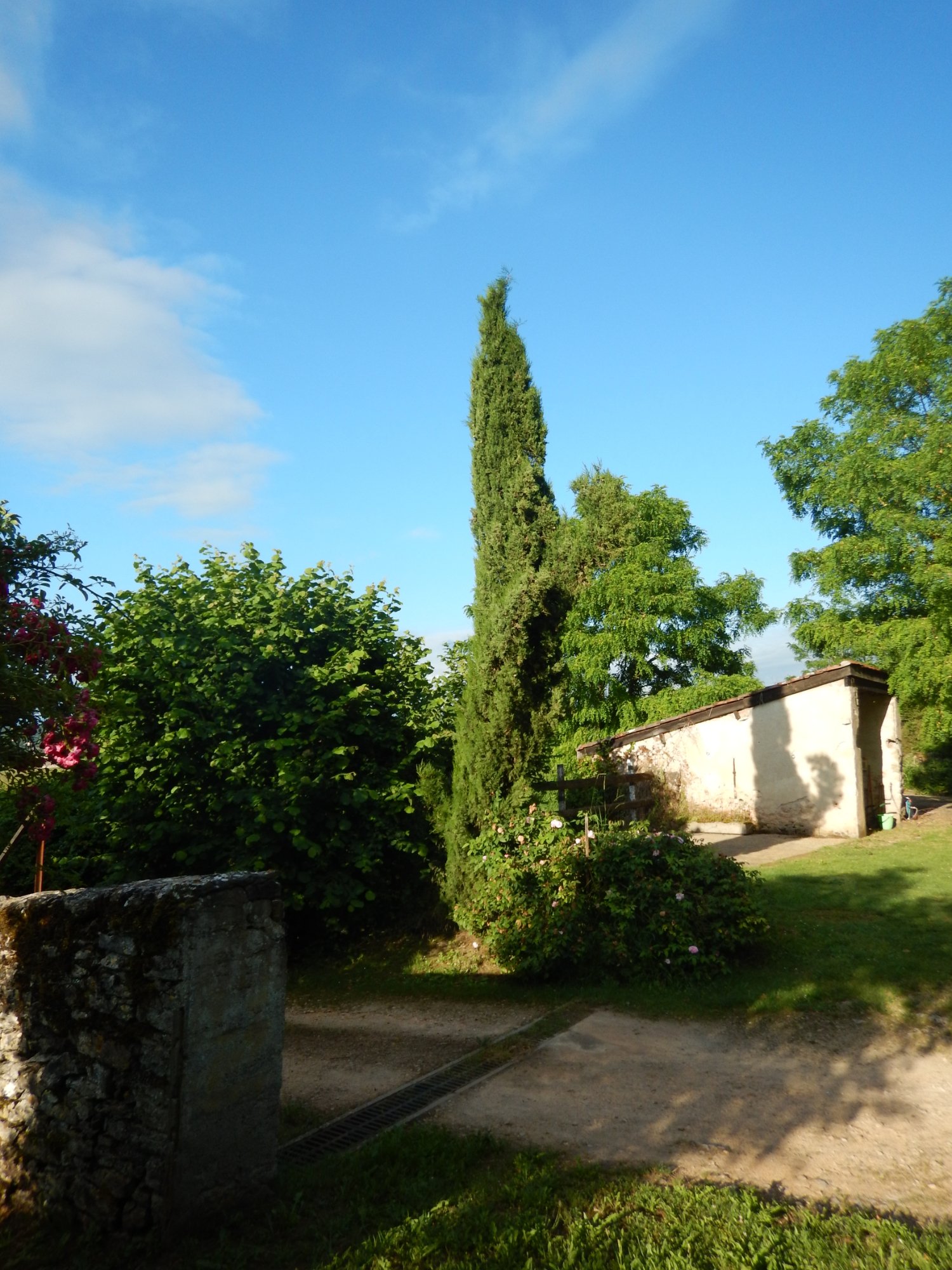 Les Terrasses de l'Abbaye-官方