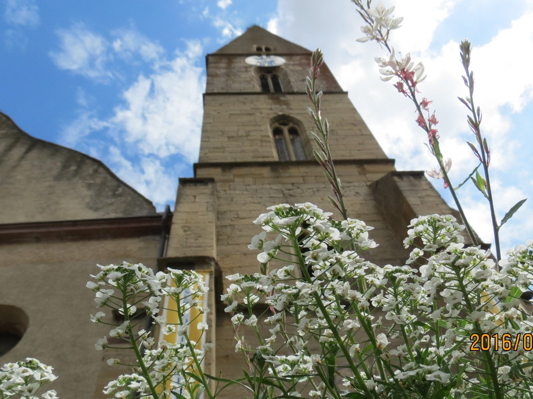 Église Saints-Pierre-et-Paul景点图片