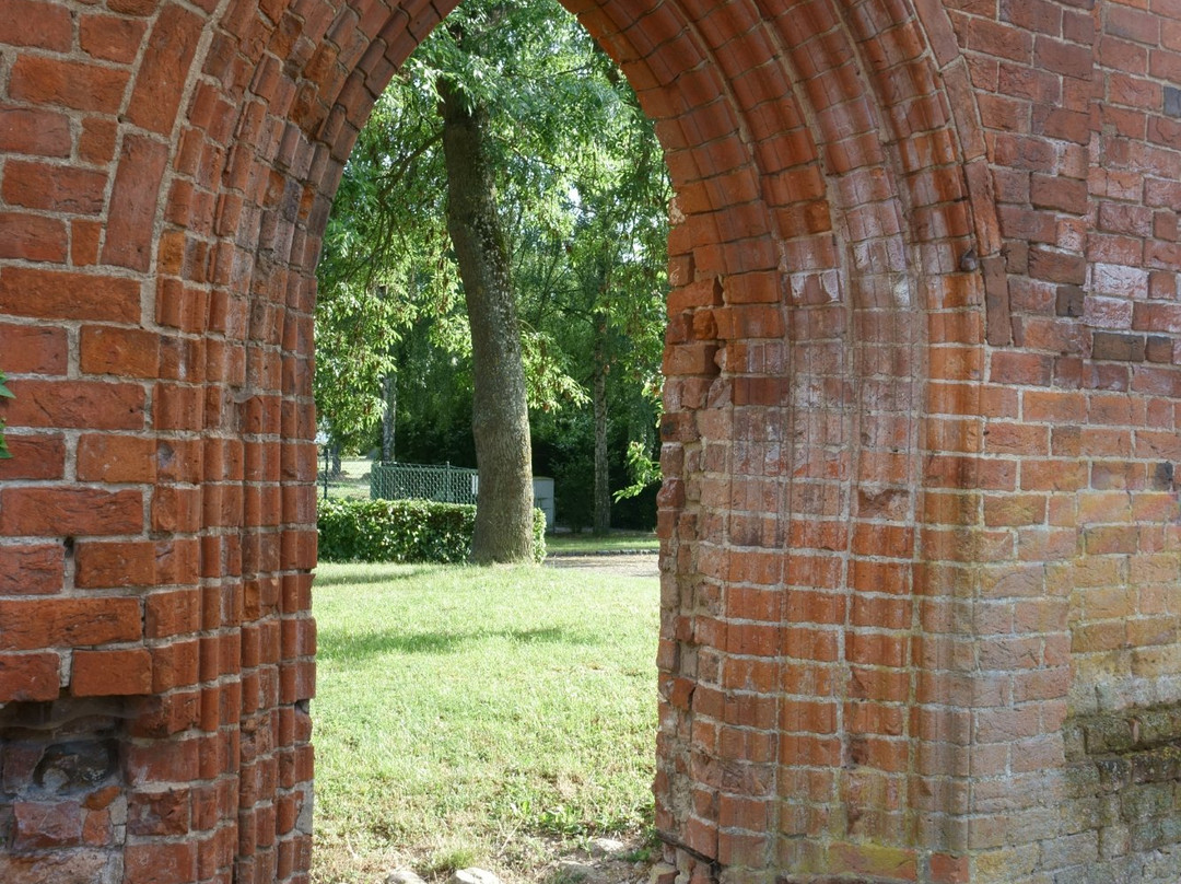 Zisterzienser Kloster Dargun景点图片