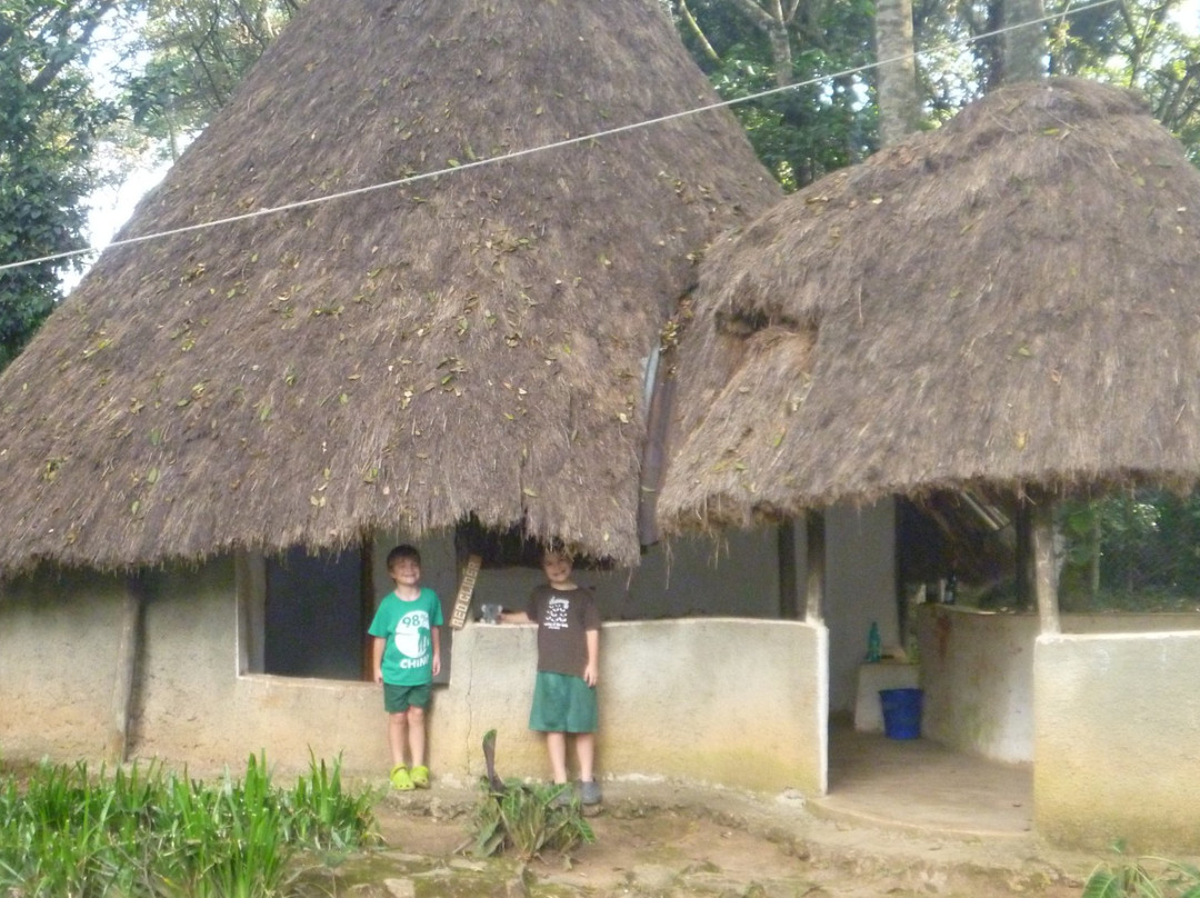 KEEP Bandas at Kakamega Forest主图