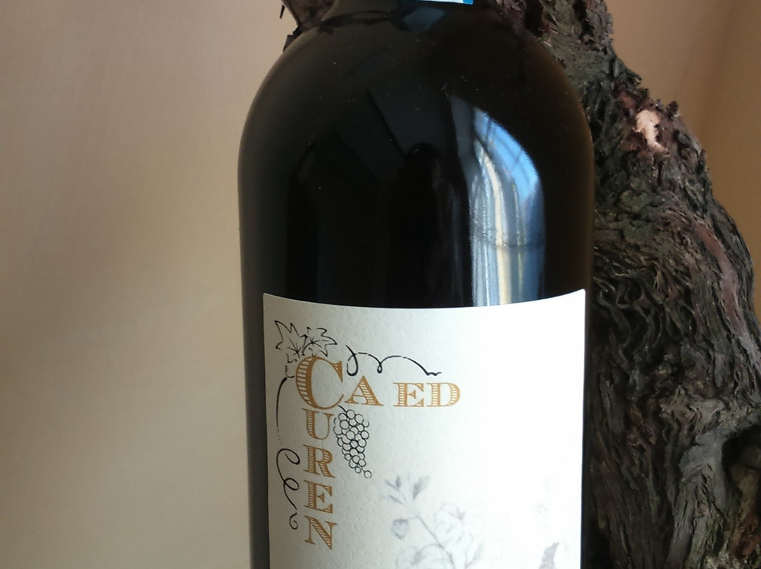 Azienda Agricola - Ca ed Curen景点图片