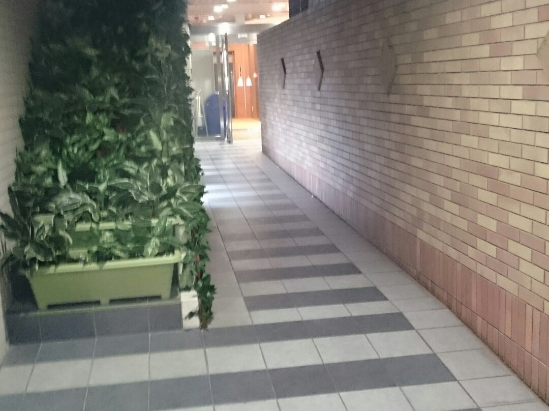 Hotel New Gaea Iizuka主图