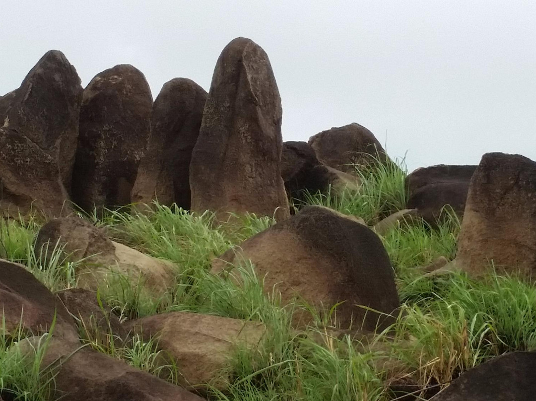 Megaliths Of Greencastle Hill-安提瓜必去景点