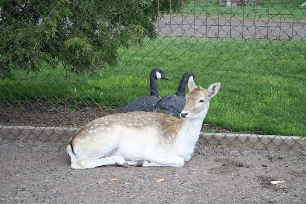 Lionels Farm-惠特彻奇-史托维尔必去景点