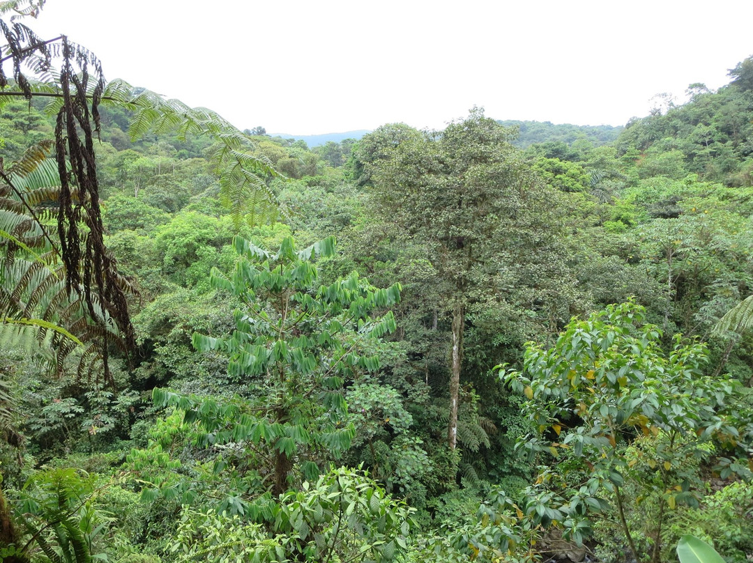 Parque Aventura San Luis-圣拉蒙必去景点
