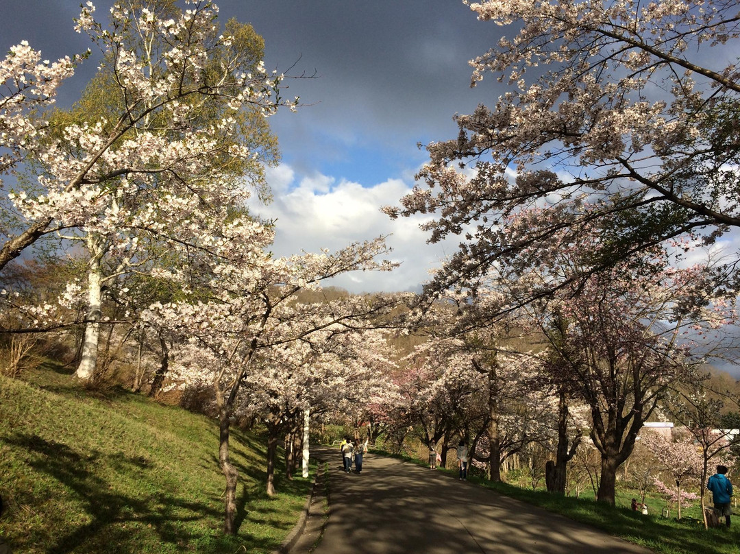 Tomei Park-美呗市必去景点