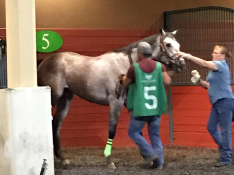 Lone Star Park-大草原城必去景点