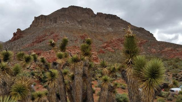 Zion Natl Park Forever Project-斯普林代尔必去景点
