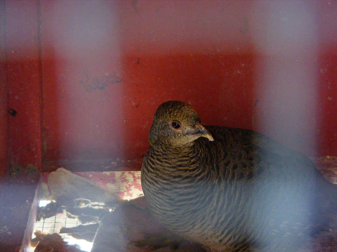 Santa Ana River Lakes-阿纳海姆必去景点