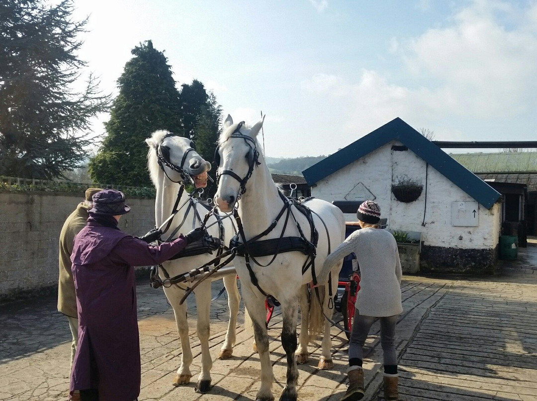 Red House Stables and Carriage Museum-马特洛克必去景点