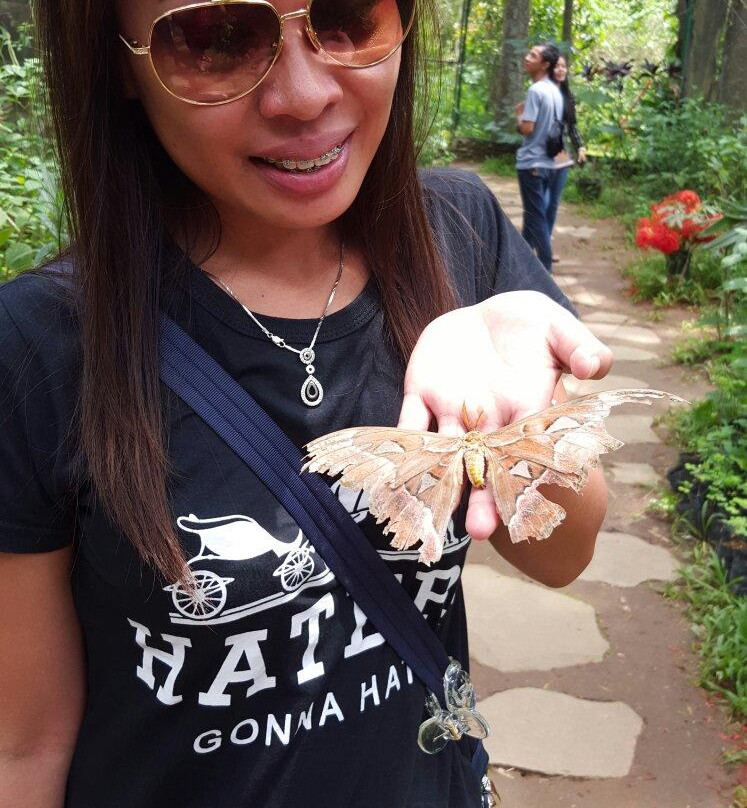 Gita Persada Butterfly Park-班达楠榜必去景点