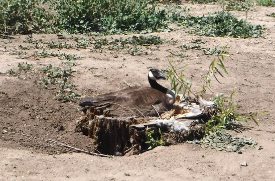 Lindo Lake County Park-Lakeside必去景点