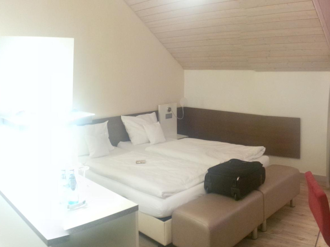 弗鲁贝特酒店主图