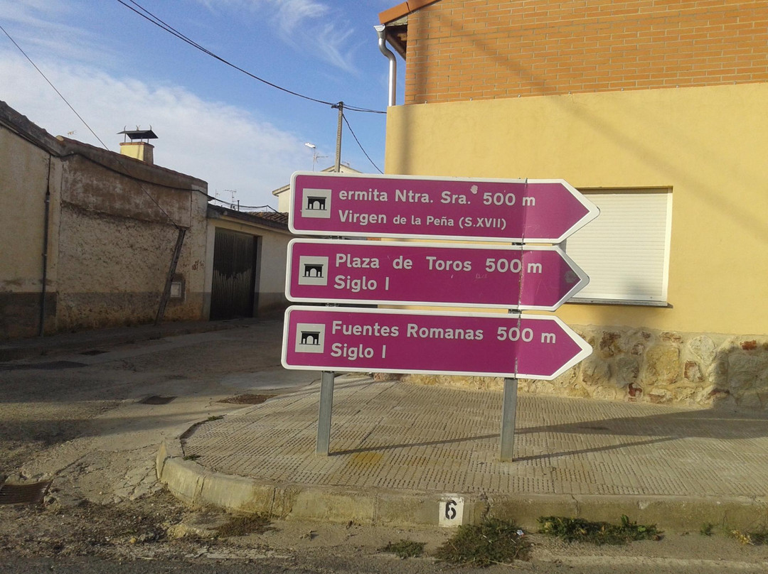 Sitio Historico de Los Arapiles景点图片
