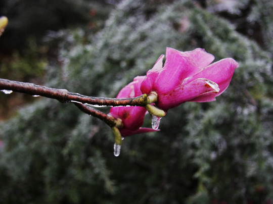 广西大明山-武鸣县必去景点