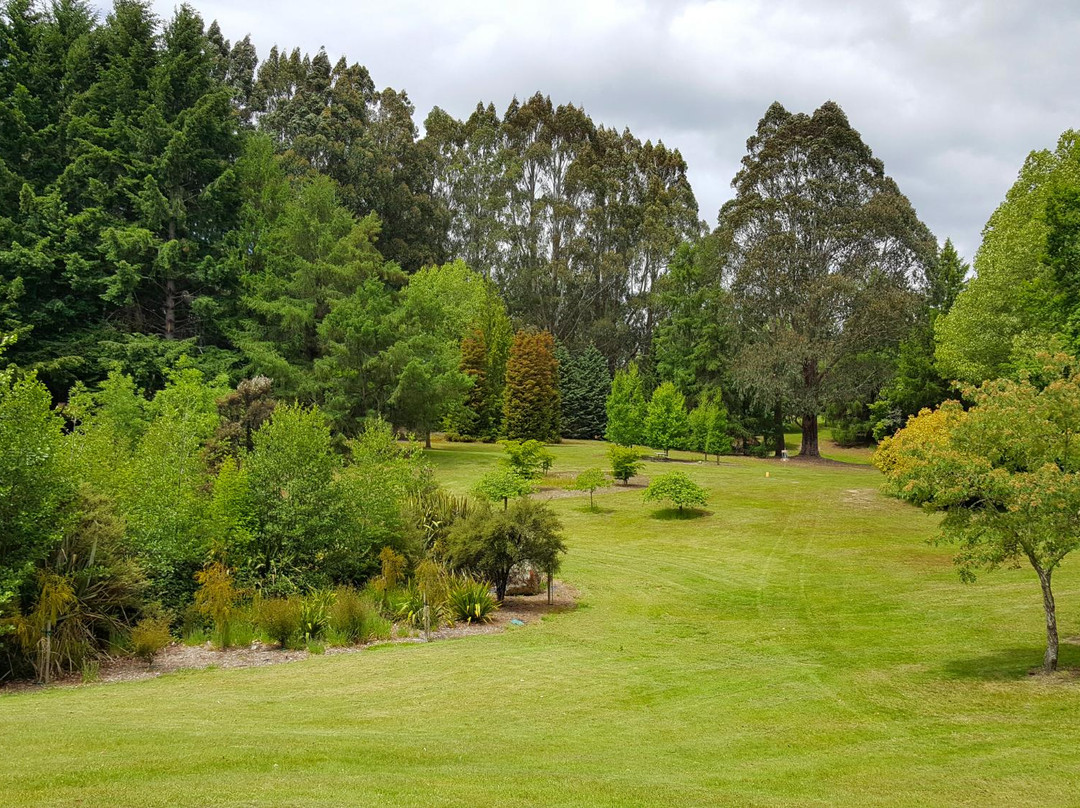 Ivan Wilson Park景点图片