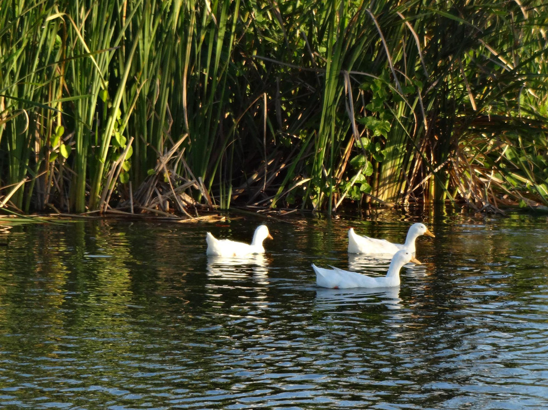 Parque Municipal Erivaldo Cerqueira-Feira de Santana必去景点