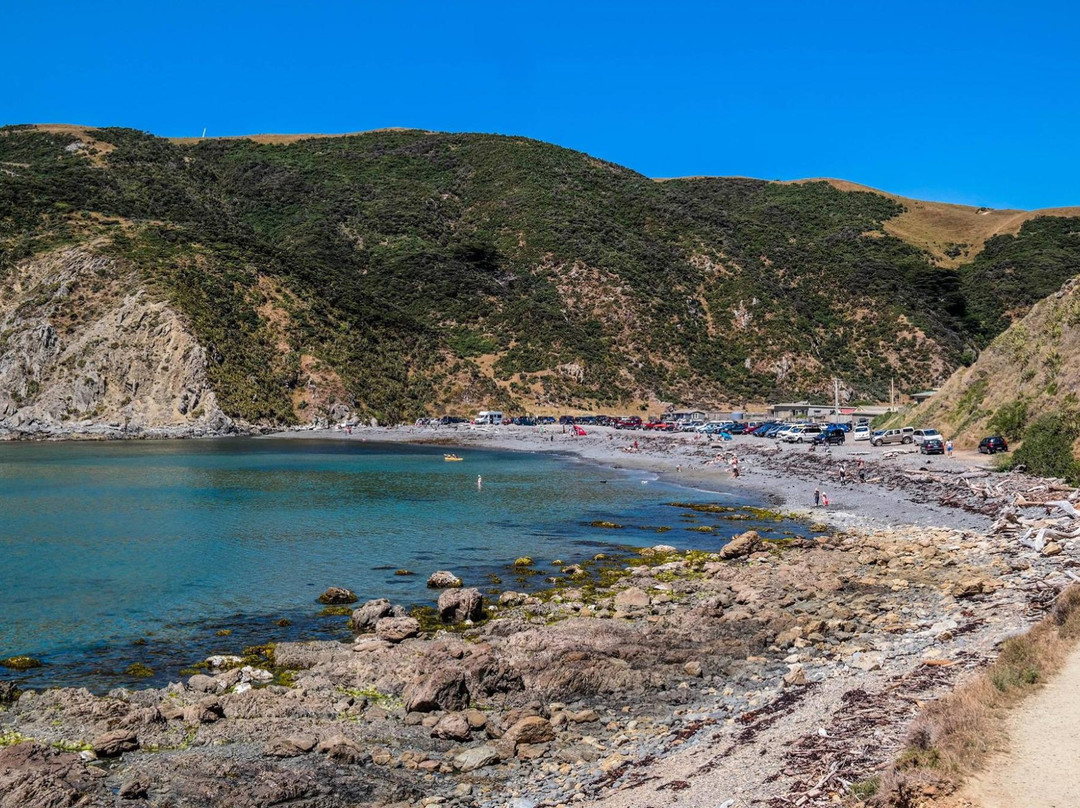Makara Beach-惠灵顿必去景点