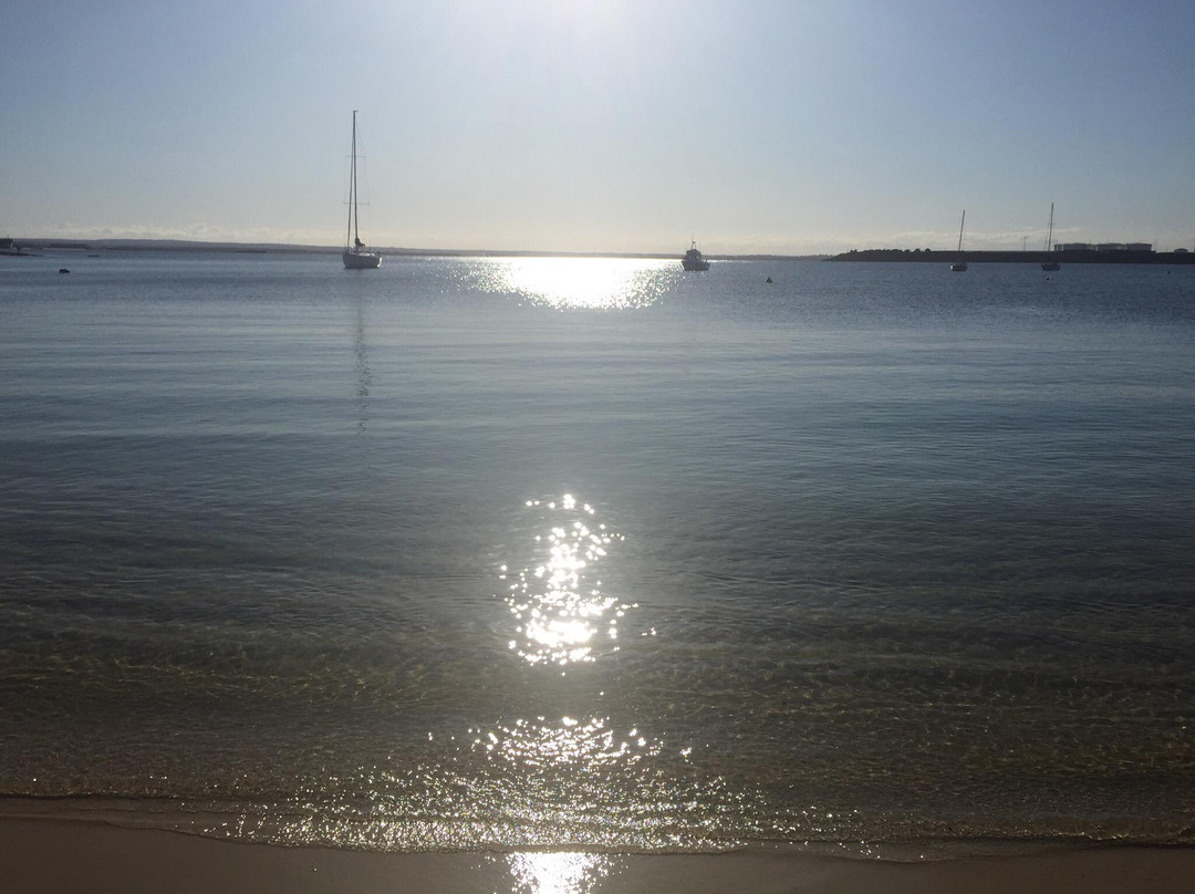 裸堡岛旅游-悉尼必去景点