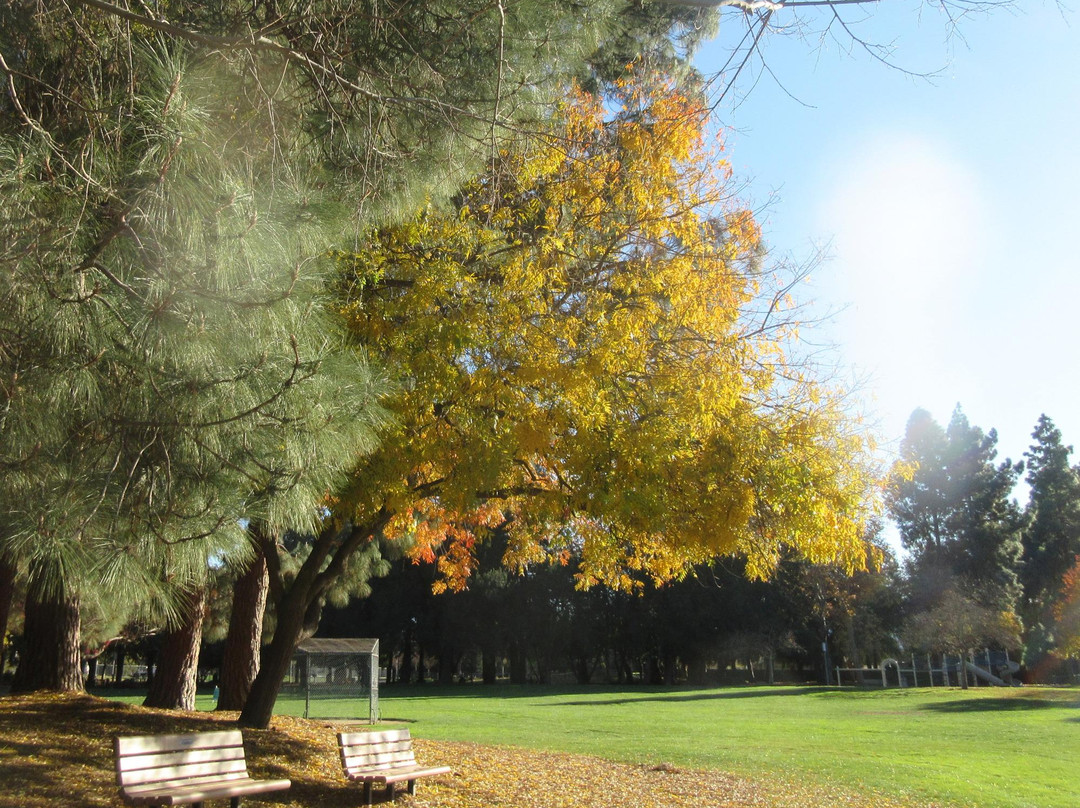 Serra Park-森尼韦尔必去景点