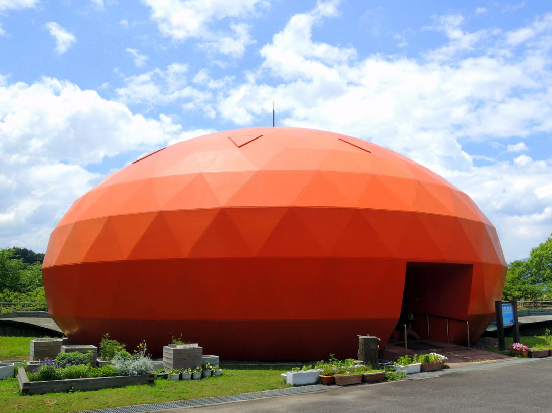 五条市旅游景点-Kaki Persimmon Museum
