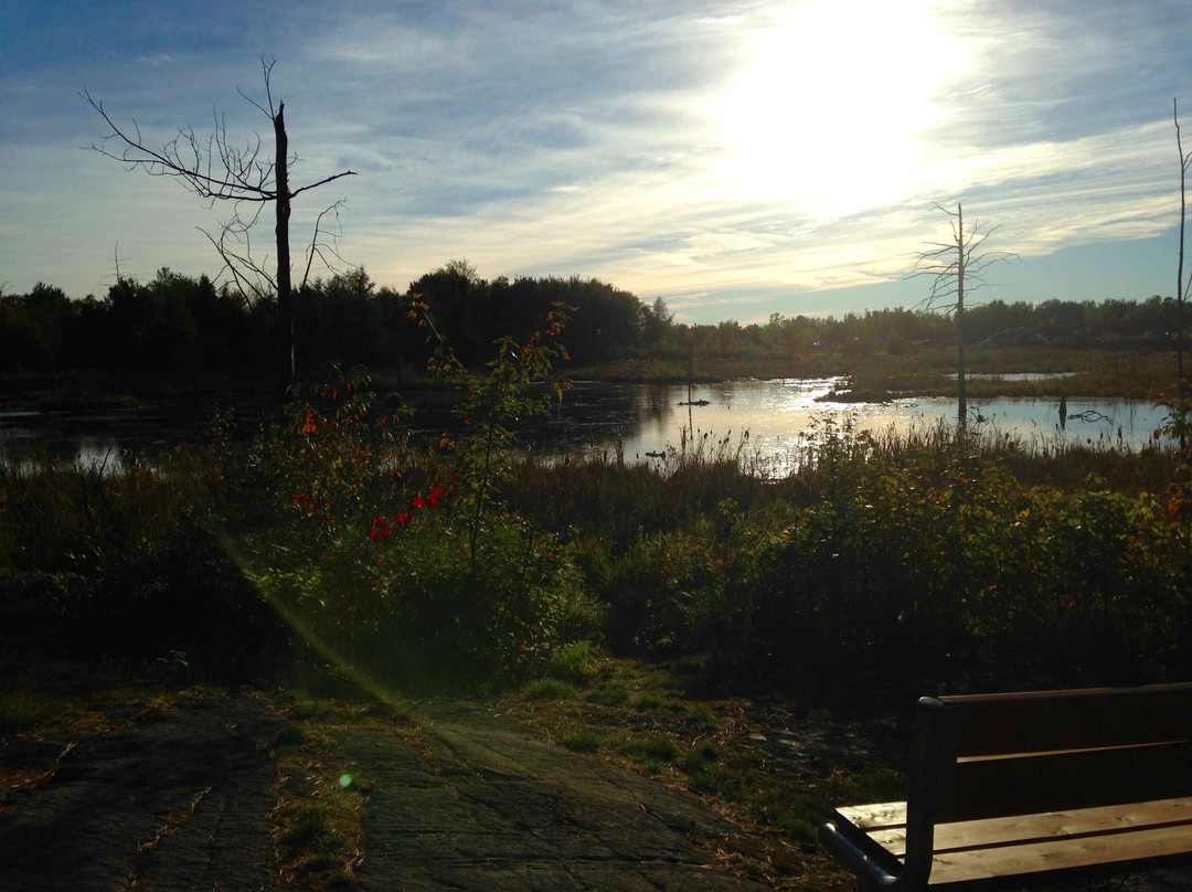 Laurier Woods Conservation Area-诺斯贝必去景点