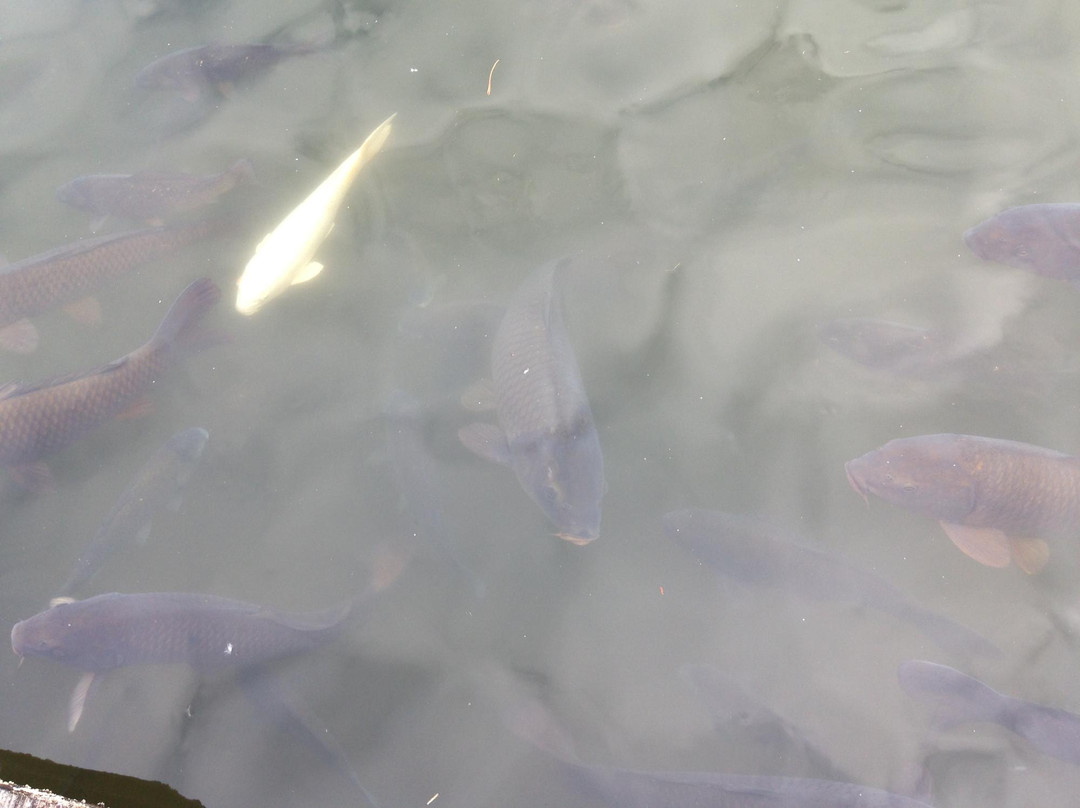 Karasugamori park-那须盐原市必去景点