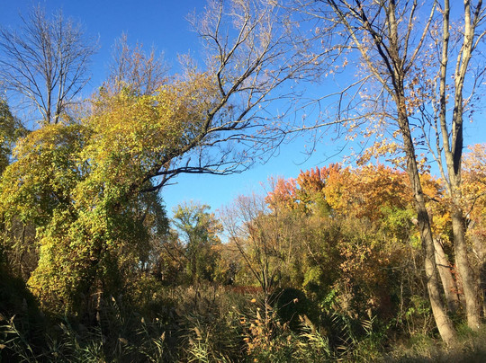 Freshkills Park-斯塔滕岛必去景点