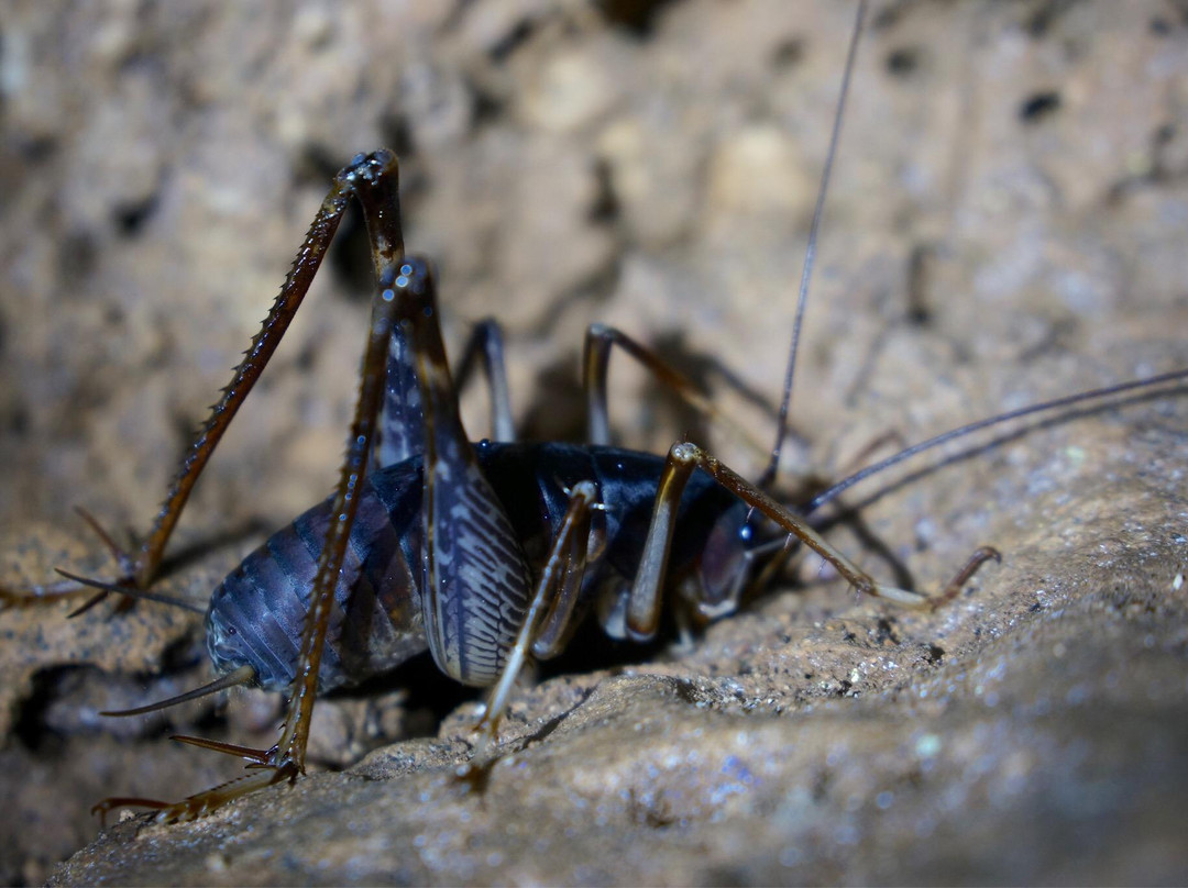 Clearwater Connection-姆鲁国家公园必去景点