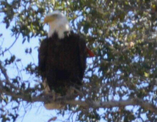 El Capitan Reservoir-Lakeside必去景点