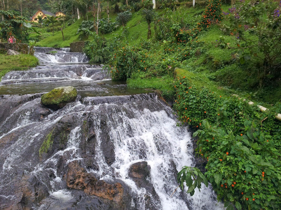 Risaralda Department旅游攻略图片