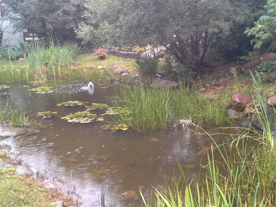 Trochu Arboretum & Gardens-特罗胥必去景点