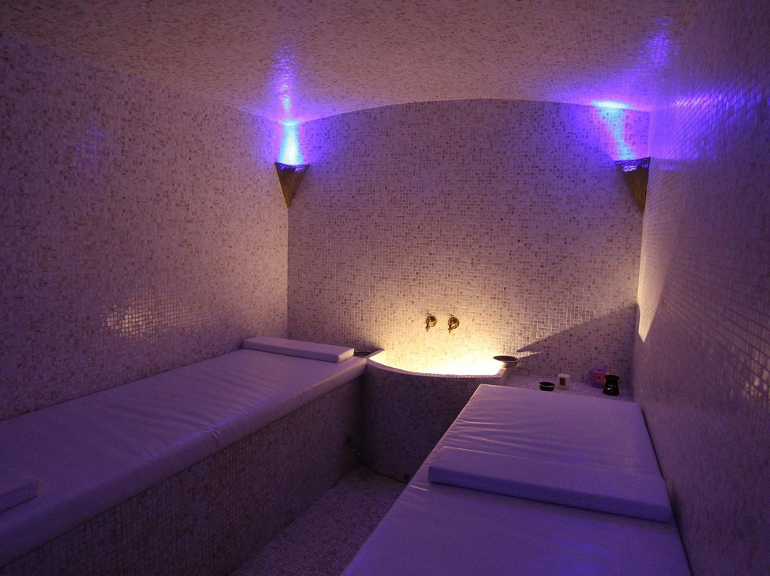 Les Bains de Marrakech景点图片