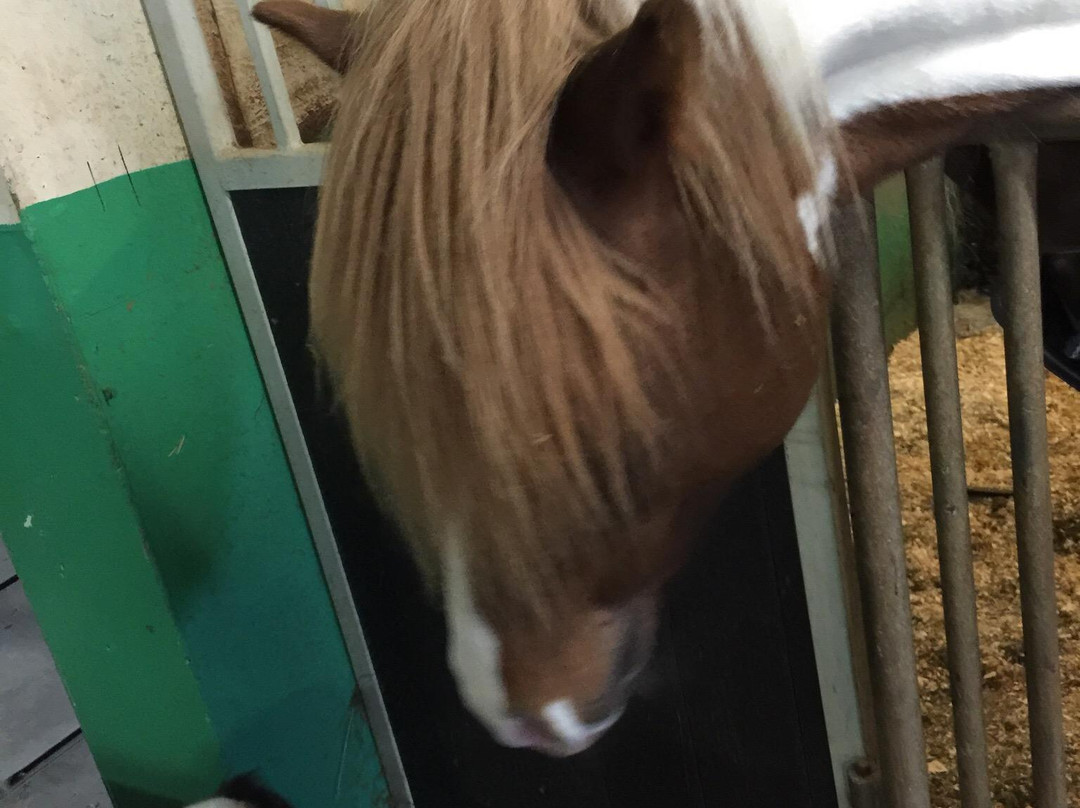 Gauksmyri Lodge-华姆斯唐吉必去景点