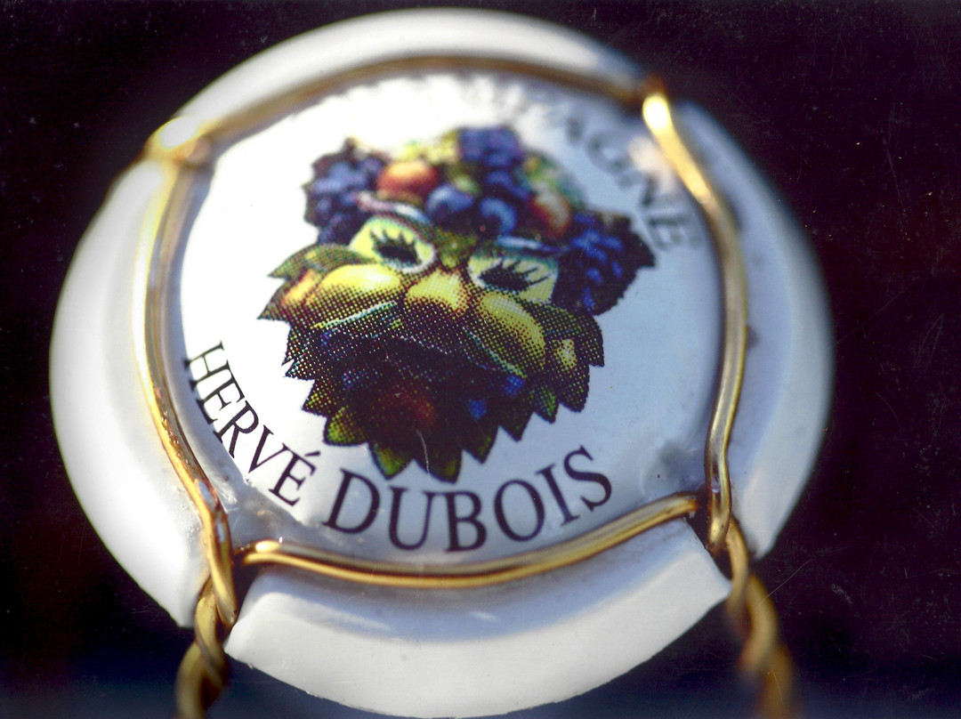Champagne Hervé Dubois景点图片