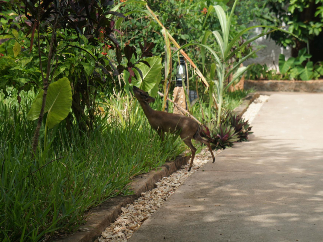 Nungwi Beach-孥归必去景点