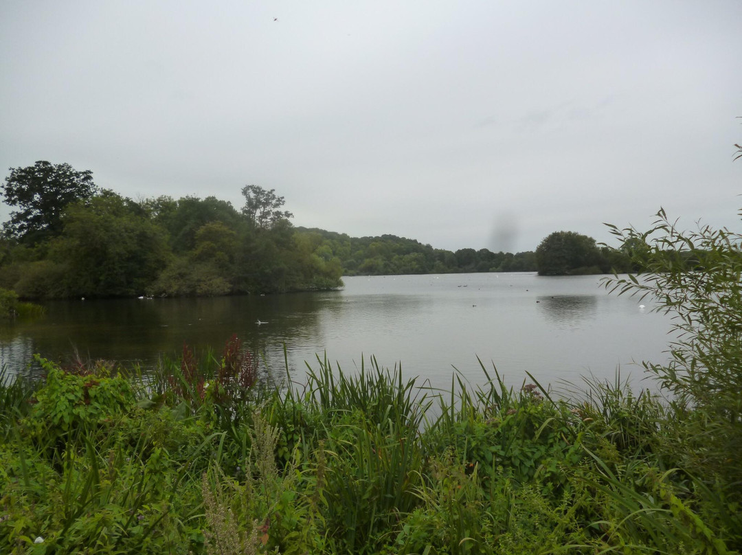 Rickmansworth Aquadrome景点图片