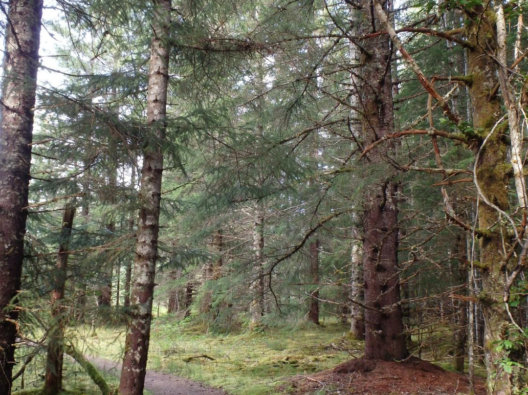 Nagoon Berry Trail-古斯塔夫斯必去景点