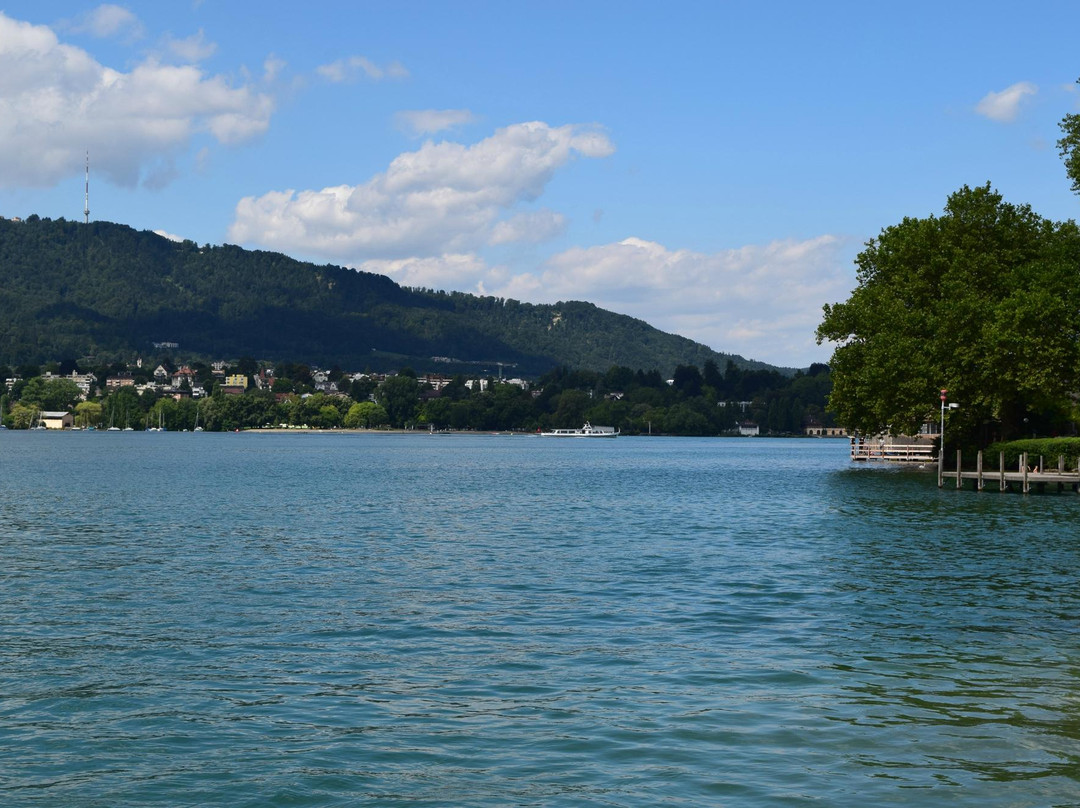 Lake Zurich, Eastern Bank景点图片