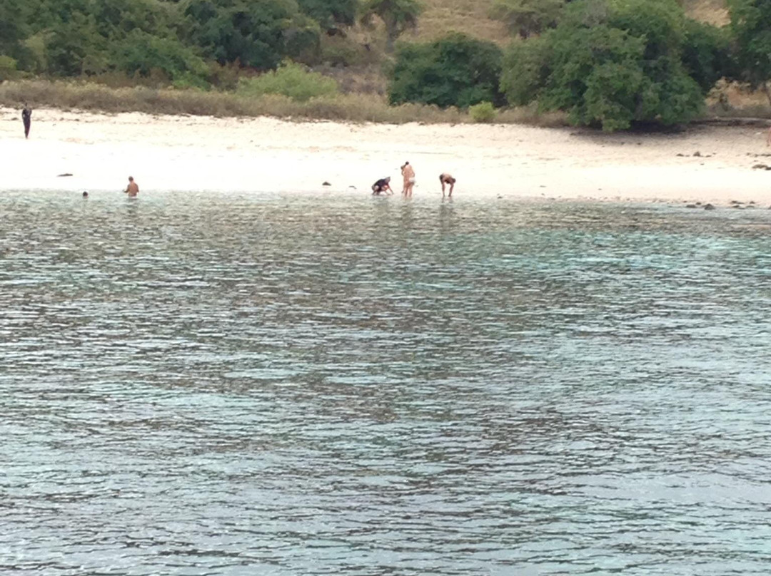 Pink Beach-科莫多必去景点