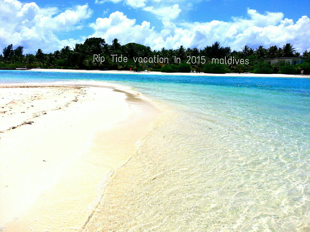 康杜玛岛酒店住宿-瑞普潮渡假酒店