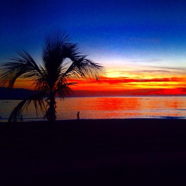 Jetty Betty Surf School-哈雷瓦必去景点