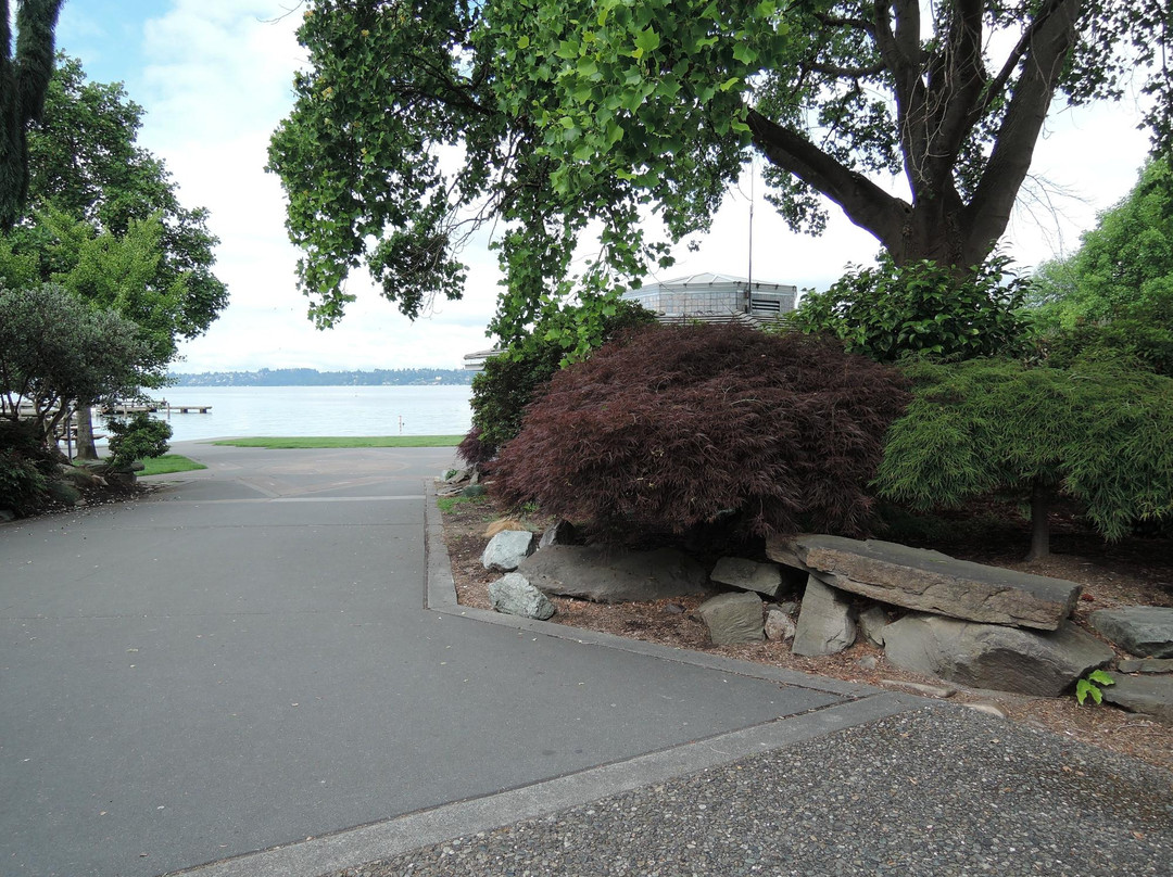 Marina Park-柯克兰必去景点