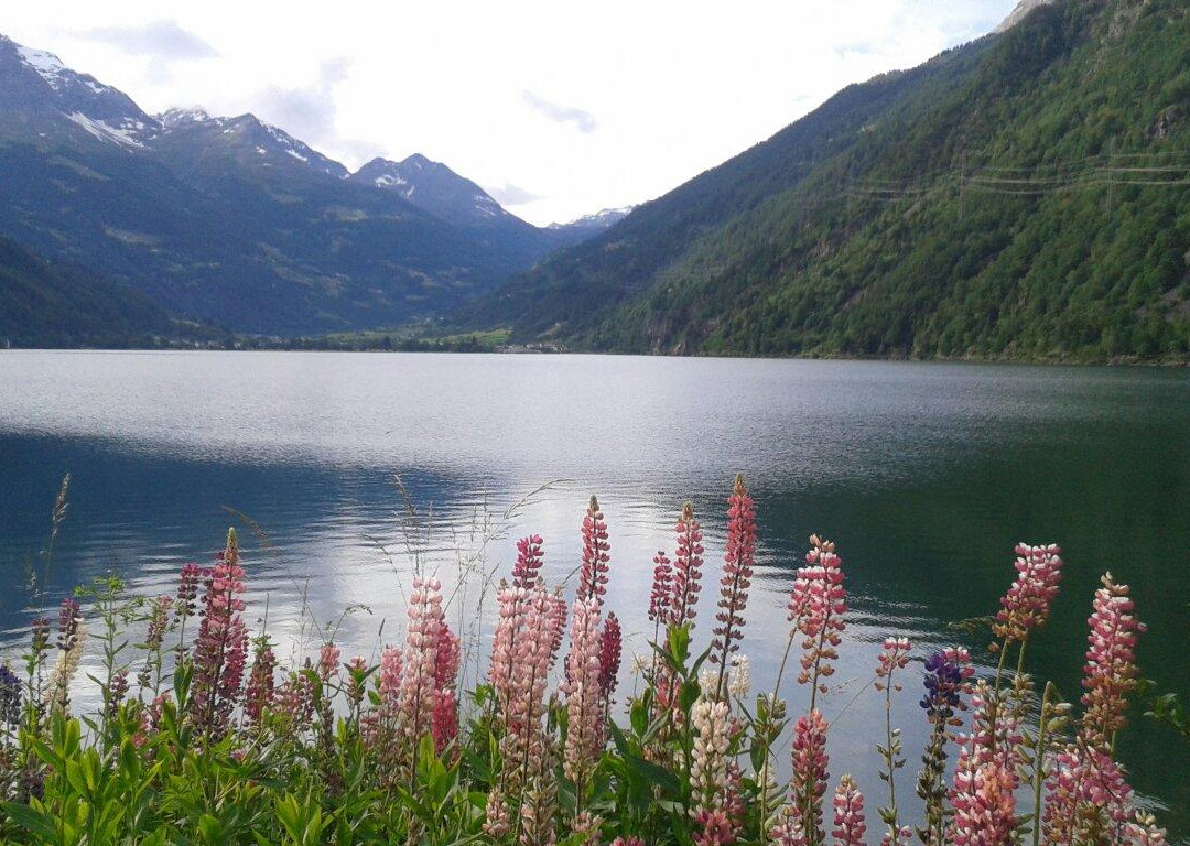 Lago di Poschiavo-Le Prese必去景点